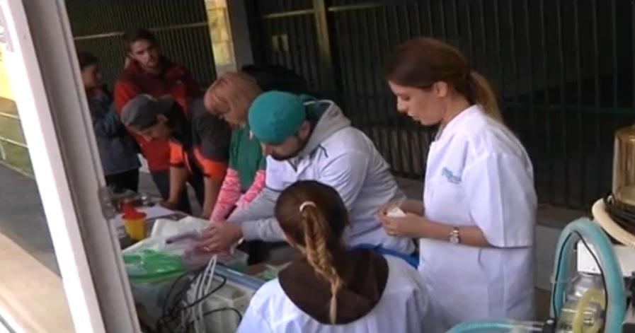 Cuşca unui tigru fioros s-a transformat &icirc;n sală de operaţie: "Monitorul de pacient! Aduceţi monitorul, hai!"