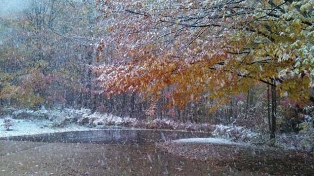 Frig, ploi, lapoviţă şi ninsori! Prognoza meteo pentru zilele următoare