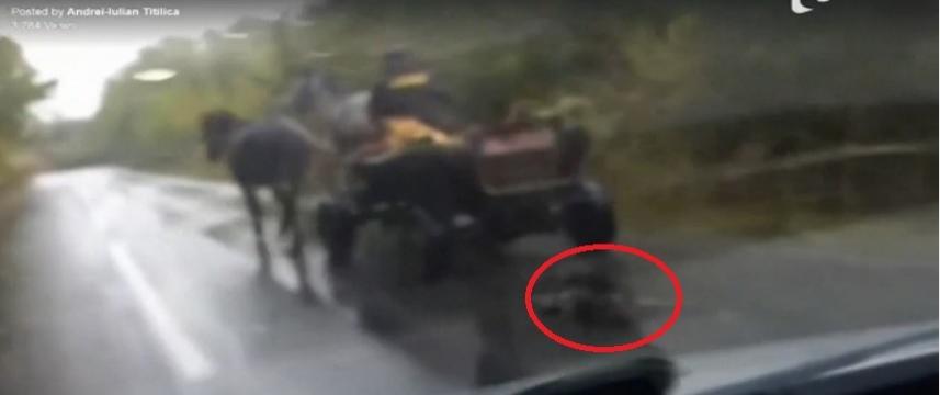 Atenție, imagini ȘOCANTE! Un c&acirc;ine este t&acirc;r&acirc;t pe şosea, legat de căruţa stăp&acirc;nului său. Tortură fără margini!