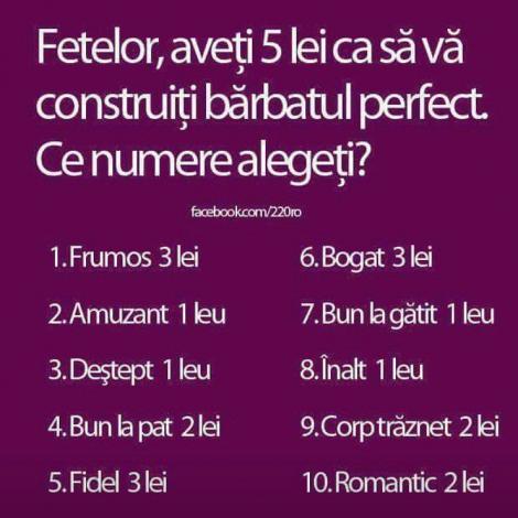 Marea provocare pe Facebook: cinci lei pentru a-ți construi bărbatul perfect! ”Romantismul” e scump, domnișoară, mult prea scump!