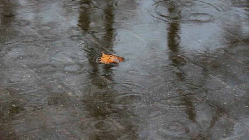 &Icirc;nceput de săptăm&acirc;nă cu ploi, ceață și v&acirc;nt! Vine iarna? Meteorologii au răspunsul!