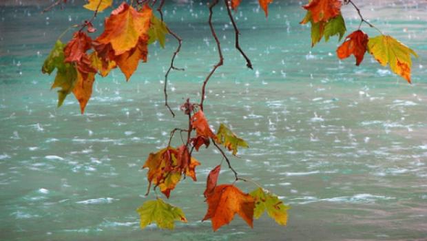 Prognoza meteo: Nu scăpăm de frig şi de ploi. Vreme &icirc;nchisă şi temperaturi scăzute toată săptăm&acirc;na