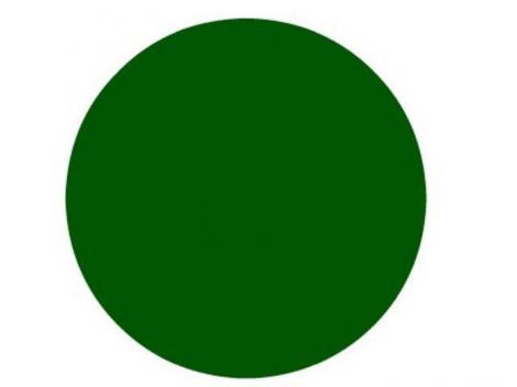Dacă observi asta, ai o vedere perfectă. Ce se ascunde în interiorul cercului verde?