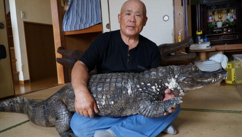 GALERIE FOTO. De 34 de ani doarme cu un crocodil în pat. Îl scoate la plimbare, îl spală pe dinți. ”Soția nu-l suportă, de aceea stau mai mult cu el!”
