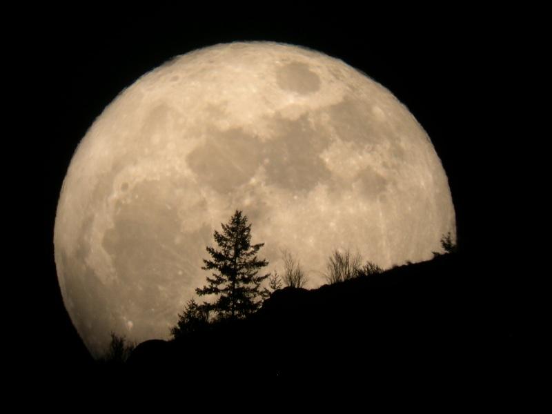 Cum sunt influențate zodiile de Super Luna din 14 noiembrie. De șapte decenii, nu a mai fost un asemenea fenomen astronomic! Următoarea dată c&acirc;nd va putea fi observată va fi &icirc;n 2034!