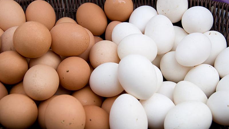 Care e diferența între ouăle albe și cele maronii? Diferența te va surprinde! Acum sigur  vei știi ce să cumperi!