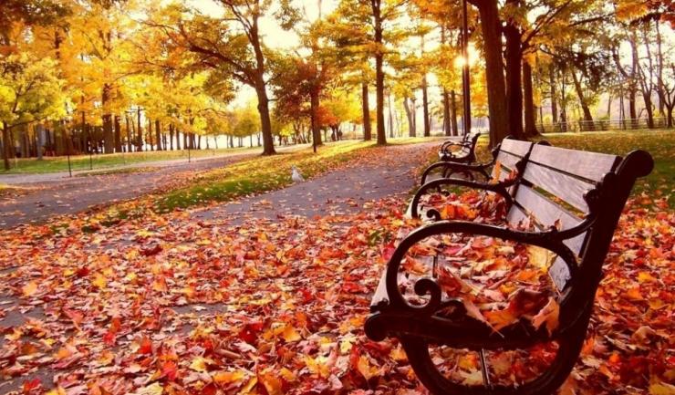 Temperaturi ridicate pentru această perioadă! Prognoza meteo pentru weekend