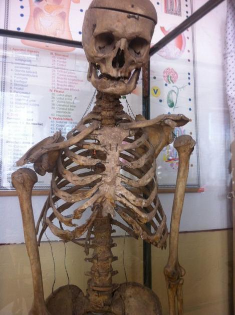 Senzații tari românești la ora de anatomie! Un fost profesor şi-a lăsat moştenire scheletul unei şcoli din Prahova
