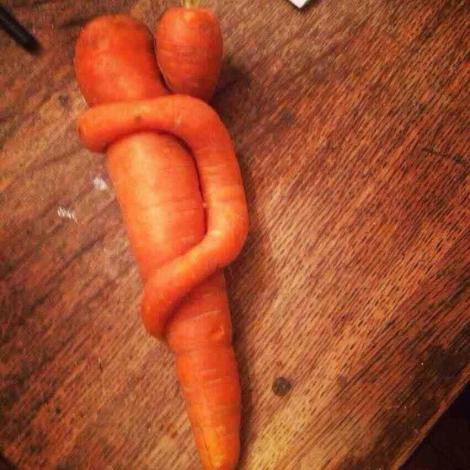 Doi morcovi sau doi îndrăgostiți? GALERIE FOTO cu fructe și legume care au crescut în formă de fluturași, rățuște sau iepuri