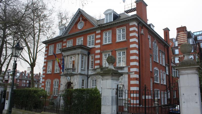Ambasada României de la Londra are un pisoi oficial! Îl cheamă Ferdinand și a făcut senzație! (VIDEO)