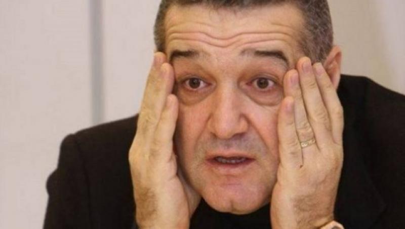 VIDEO: Gigi Becali va plânge de fericire când va vedea imaginile astea! Cum au fost surprinse două dintre fetele patronului Stelei