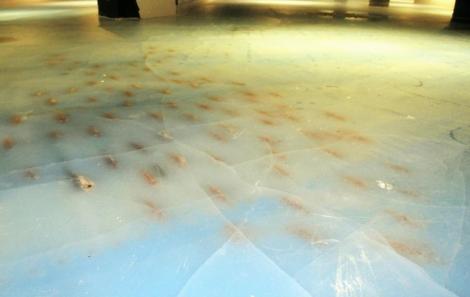 Imagini SINISTRE, la un patinoar! Oamenii patinau peste mii de pești morți. "E un act de cruzime"