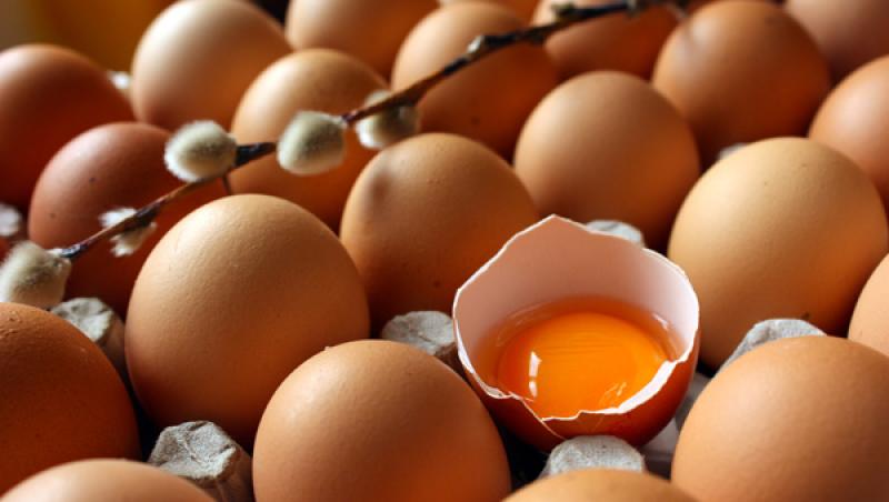 Cum știi că oul e vechi sau proaspăt? Acesta este singurul mod prin care poți afla! (VIDEO)