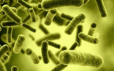 Atenție mare la ce cumpărați și de unde! Bacteria E.coli a fost depistată în produsele alimentare din mai multe judeţe