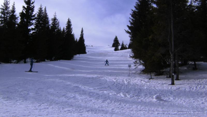 Imagini desprinse parcă dintr-un basm! Strat de zăpadă de 10 centimetri la Şureanu, în Alba! A nins în România ca în povești!