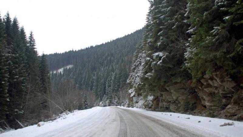 Imagini desprinse parcă dintr-un basm! Strat de zăpadă de 10 centimetri la Şureanu, în Alba! A nins în România ca în povești!