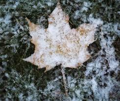 Ploi, v&acirc;nt și ninsori! Ți-ai pregătit umbrela, ți-ai scos fularul din dulap?