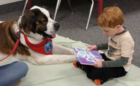 Un câine a găsit metoda perfectă! Cum l-a păcălit pe cel mic să citească o carte!