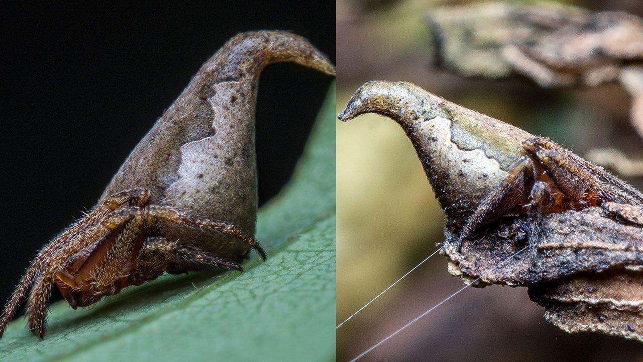 Imaginea care a oripilat internetul: "Era exact la fel!"