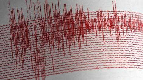 Cutremur în Vrancea! Este al 14-lea seism din luna decembrie în România
