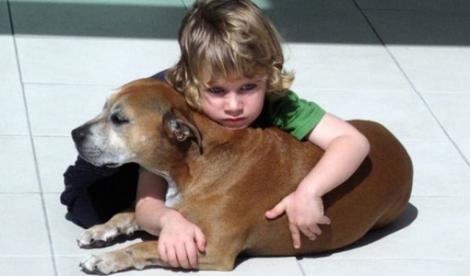 Un copil are o reacție de milioane atunci când își găsește câinele pierdut! Cine ar fi crezut că se întâmplă tocmai asta?