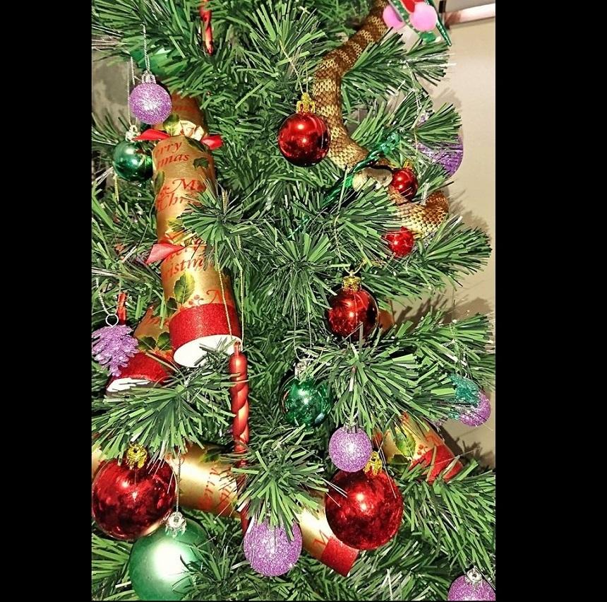 Descoperire &icirc;nfiorătoare! O femeie a cumpărat bradul, dar i-a &icirc;nghețat s&acirc;ngele &icirc;n vene: Ce a găsit familia &icirc;n timp ce &icirc;mpodobea pomul de Crăciun