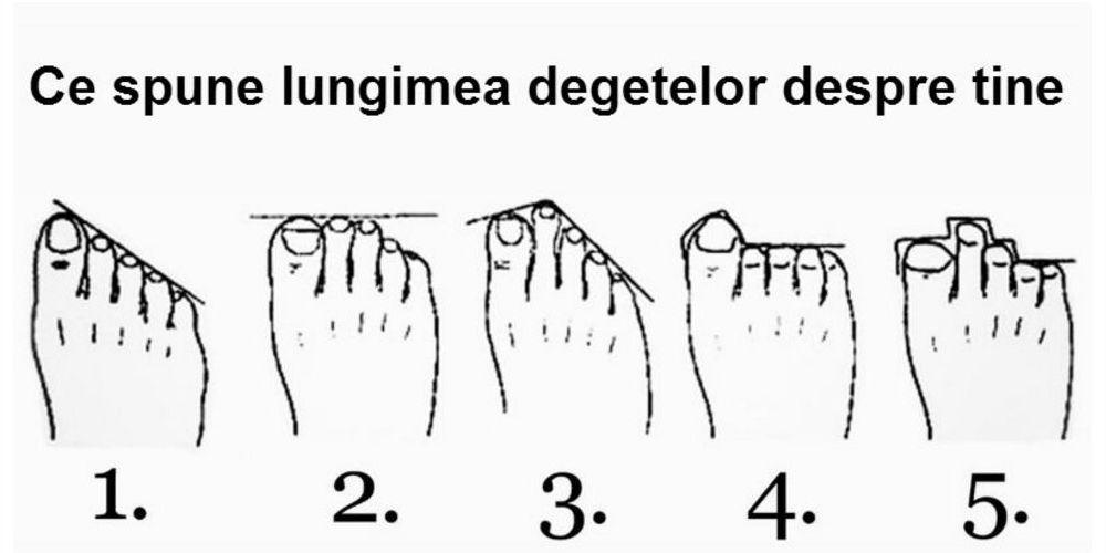 Lungimea degetelor de la picioare &icirc;ţi trădează secretele! Spune-mi cum le ai, ca să &icirc;ți spun cine ești cu adevărat!
