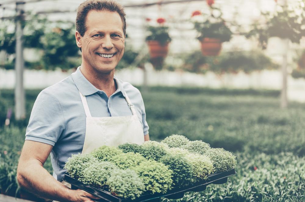 Top 5 cele mai ușor de &icirc;ntreținut și profitabile culturi de plante. De ce ai nevoie pentru a le crește