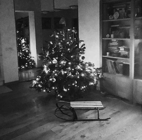 Mirela Boureanu Vaida așteaptă Crăciunul împreună cu familia sa: „Momente de fericire. Momente magice!”