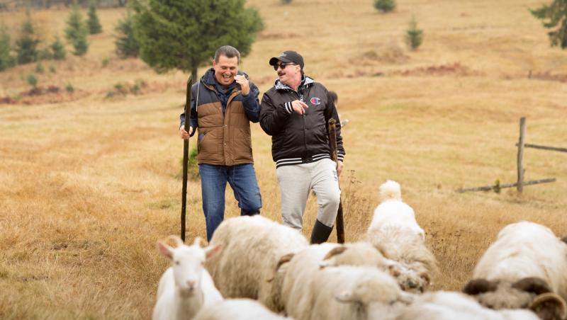 De râs cu lacrimi! ”Ferească Dumnezeu! Nea Mărin m-a pus să mulg oile. Și să le strâng căcărezele!”Romică Țociu a avut parte de peripeții la ”Poftiți la muncă”