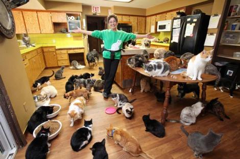 Ea e femeia cu peste 1000 de pisici! S-a mutat în rulotă și a lăsat casa cu cinci camere felinelor!