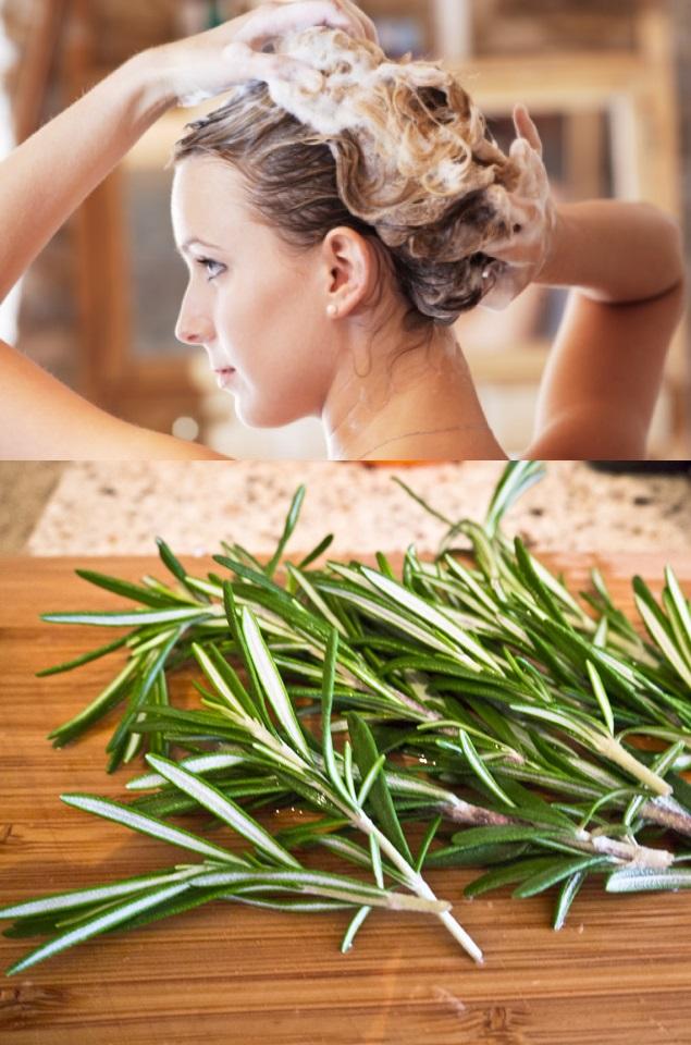 Nu mai ştii ce să faci să &icirc;ţi crească părul mai repede? ROZMARINUL e cea mai bună soluţie. Prepară singur o mască naturală