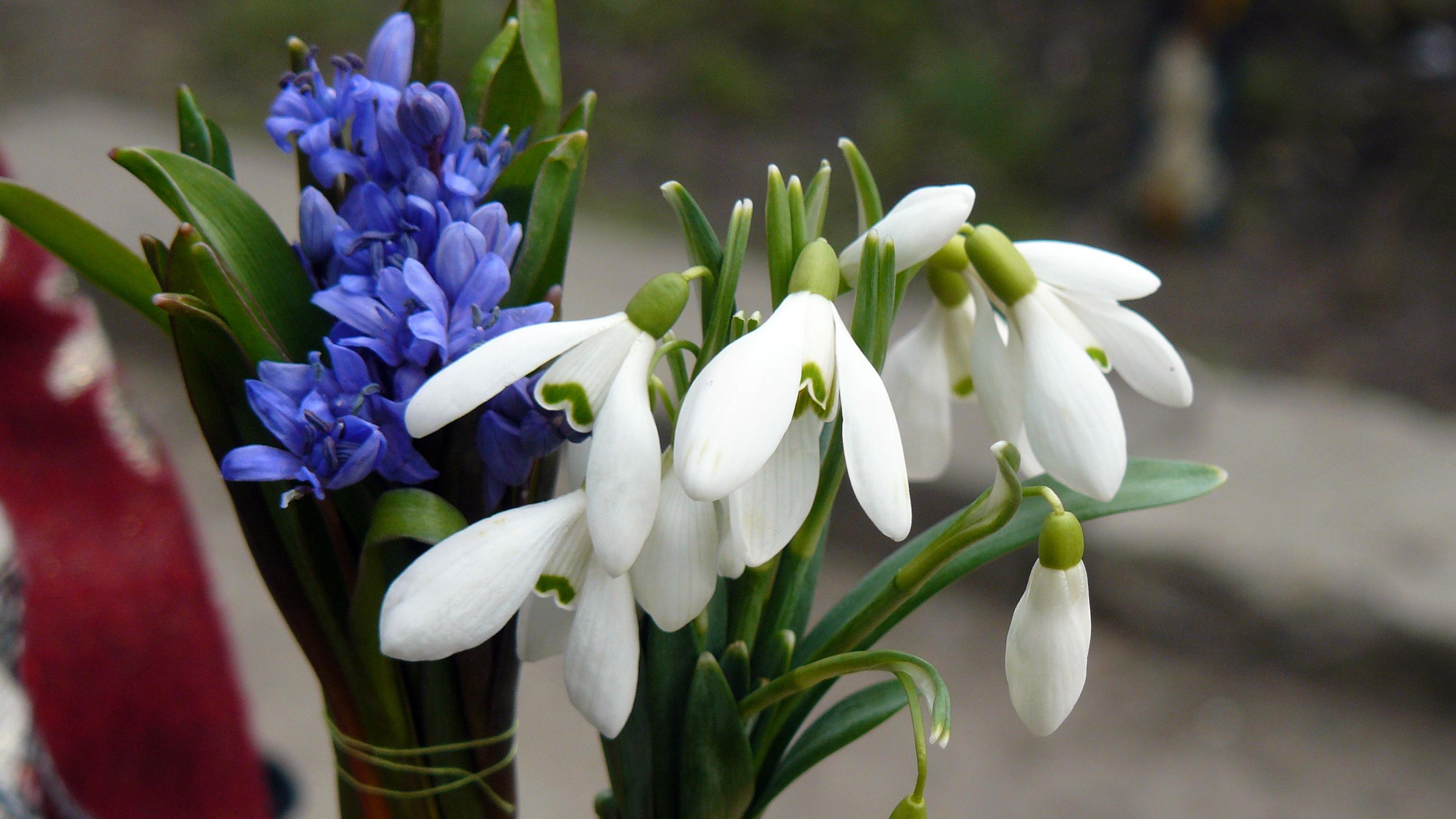 Meteorologii au re&icirc;nnoit prognoza meteo și vin cu vești bune! C&acirc;nd &icirc;și va face simțită prezența primăvara