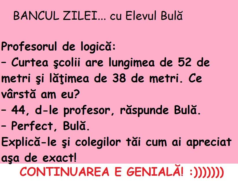 BANCUL ZILEI! La ora de logică, profesorul ”zonga” primește de la elevul Bulă un răspuns genial!