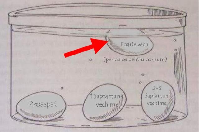 Două trucuri pe care ai nevoie să le știi! Află dacă ouăle din supermarket sunt proaspete, după o singură privire