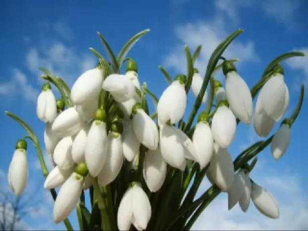 Vine, vine PRIMĂVARA! Temperaturi ridicate şi cer senin. Prognoza meteo pentru următoarele săptăm&acirc;ni