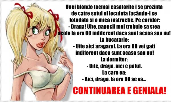 Bancul zilei: Unei blonde tocmai căsătorite i se prezintă de către soţul ei locuinţa...