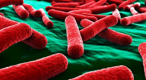 Alertă medicală. E-coli, bacteria care ne omoară copiii!