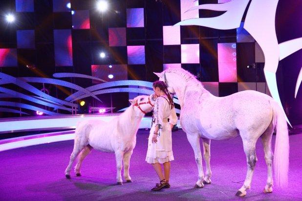 Pariu că nu ştiai! C&acirc;ţi cai putere are ... un cal