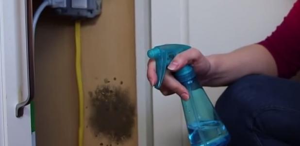 Scapă de mucegai folosind un simplu ingredient! &Icirc;l găsești chiar la tine acasă!