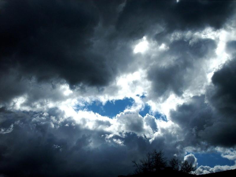 Vreme de stat &icirc;n casă: ploaie, cer noros și v&acirc;nt! Să nu &icirc;ți uiți umbrela acasă dacă ieși afară!