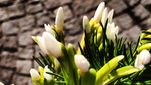 Vremea &icirc;n &bdquo;Mărțișor&rdquo;: vine, vine primăvara cu multe ploi!