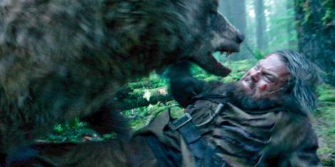 Premiile Oscar 2016. Pe Leo îl știe toată lumea de azi, e băiat de Oscar, dar ursul, cine-i ursul?! El este omul care i-a adus premiul lui DiCaprio