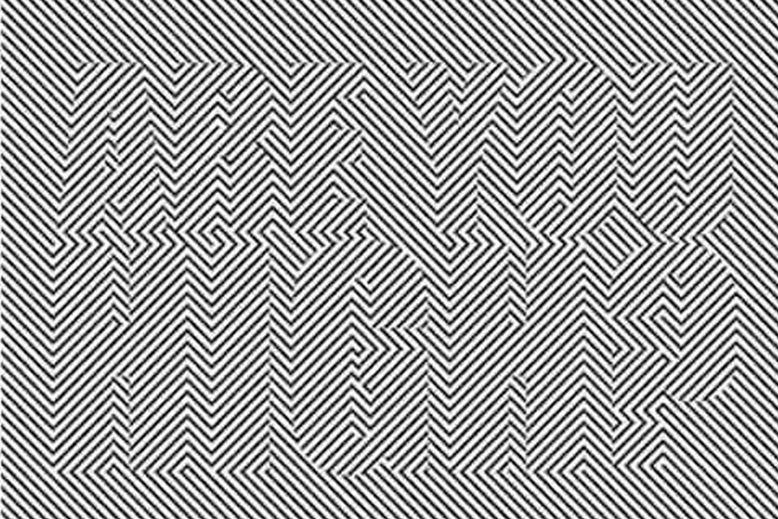 Testul suprem de vedere! &Icirc;n imagine se ascunde un mesaj. &Icirc;l poți vedea?