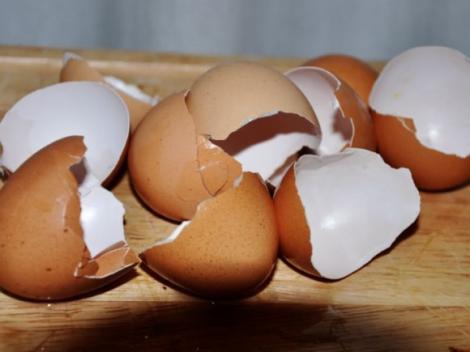 Nu mai face greșeala de a le arunca! Uite cât de sănătoase sunt cojile de ouă şi ce poţi face cu ele!