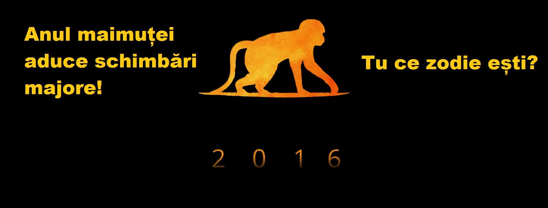 2016 este anul maimuței de foc! Ce zodii vor fi puse la grele &icirc;ncercări!