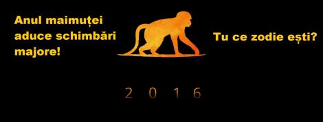2016 este anul maimuței de foc! Ce zodii vor fi puse la grele încercări!