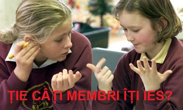 Problema care a &icirc;nnebunit internetul! Se dă enunțul: "Mama și tata au patru fiice, iar fiecare fiică are un frate. C&acirc;ți membri are această familie?"