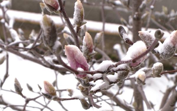 Nu scăpăm de iarnă! Se &icirc;ntorc ninsorile. Prognoza meteo pentru următoarele trei zile