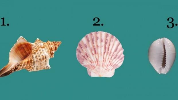 TEST: Alege o scoică din imagine şi află ce spune aceasta despre tine